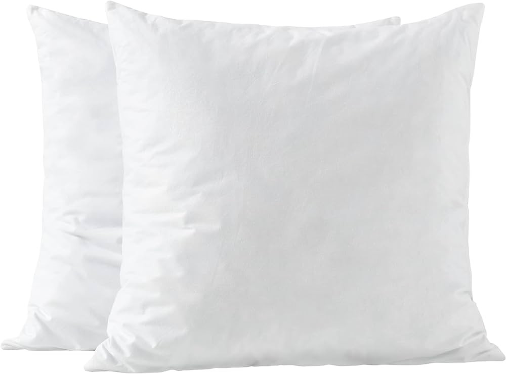 22x22 Pillow Inserts-Shredded Memory Foam Fill-High Density Throw Pillow Inserts with Long Suppor... | Amazon (US)