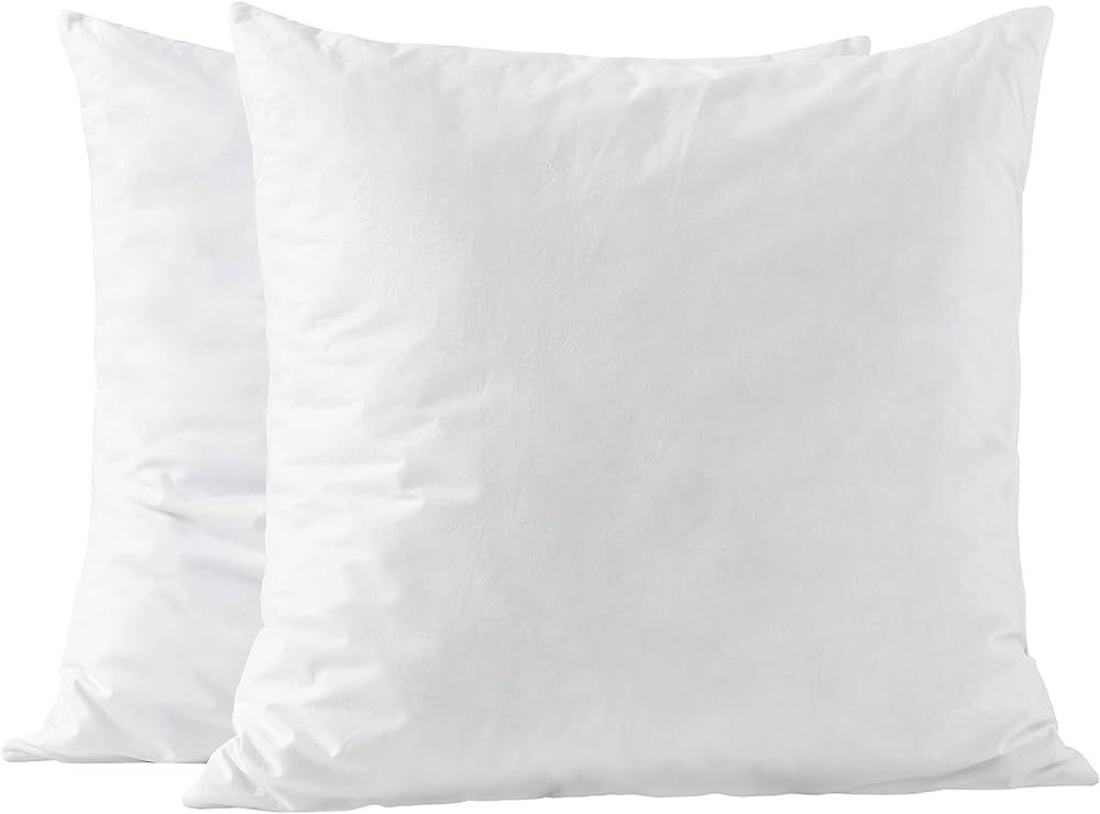 basic home 26x26 Euro Pillow Inserts-Shredded Memory Foam Fill-High Density Throw Pillow Inserts ... | Amazon (US)