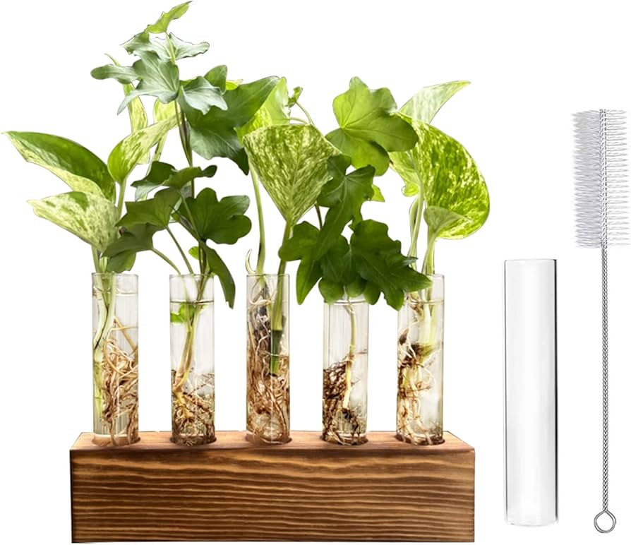 LitiVibecho Plant Propagation Station, Wooden Stand with 5 Glass Tubes, Desktop Plant Terrarium f... | Amazon (US)