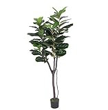 AMERIQUE Gorgeous 6 Feet Fiddle Leaf Fig Tree Artificial Silk Plant with UV Protection, Pre Nursery  | Amazon (US)