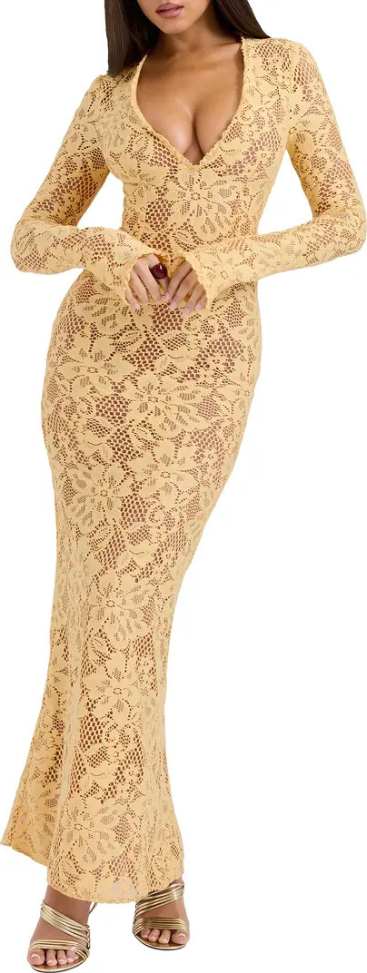 Indiana Long Sleeve Lace Maxi Dress | Nordstrom