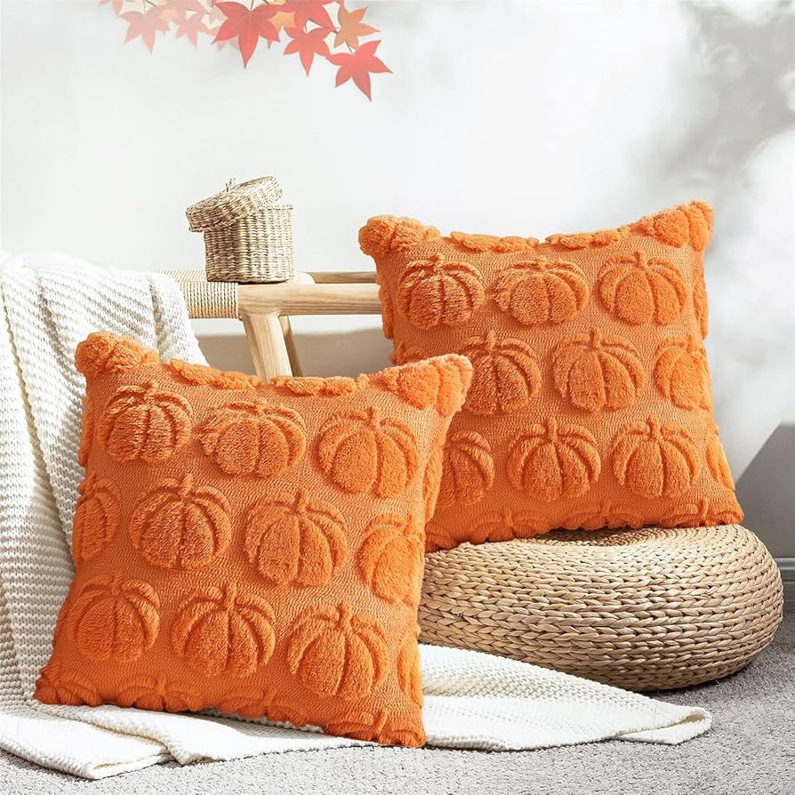 Fall Pillow Cover | Amazon (US)