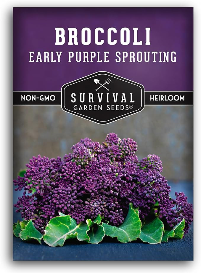 Early Purple Sprouting Broccoli Seeds for Planting – Heirloom Non-GMO Variety with Burgundy-Pur... | Amazon (US)