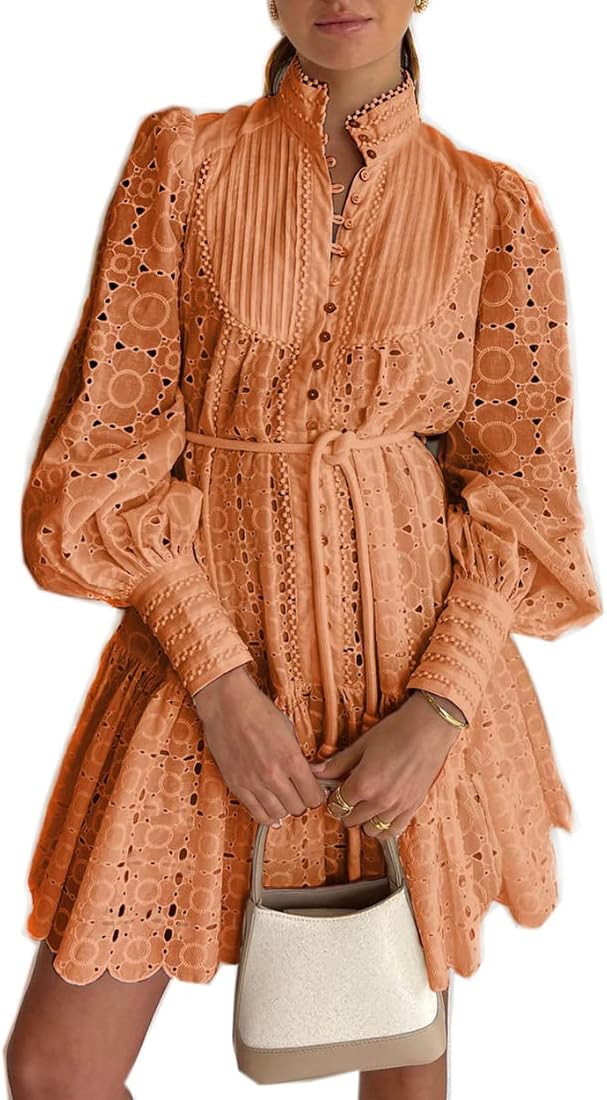 Roiii Women A-Line Lace Loose Baroque Button Down Long Sleeve Casual Dresses V Neck Embroidery Pa... | Amazon (US)