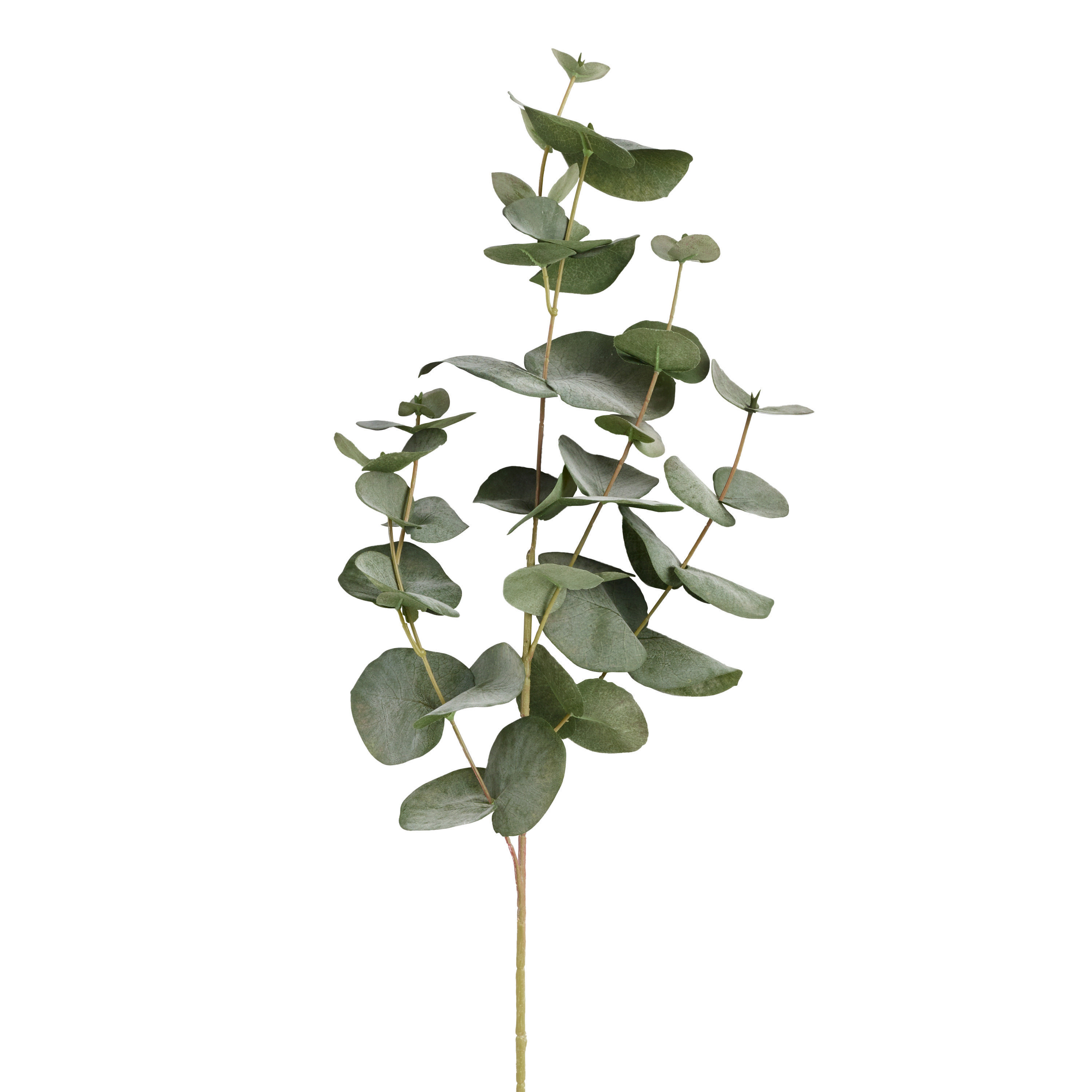 Faux Eucalyptus Spray | World Market