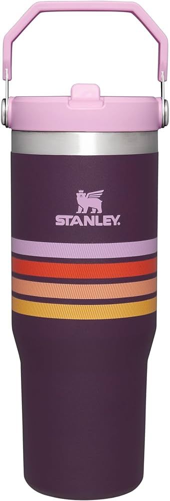 Stanley IceFlow Stainless Steel Tumbler with Straw, Vacuum Insulated Water Bottle for Home, Offic... | Amazon (US)