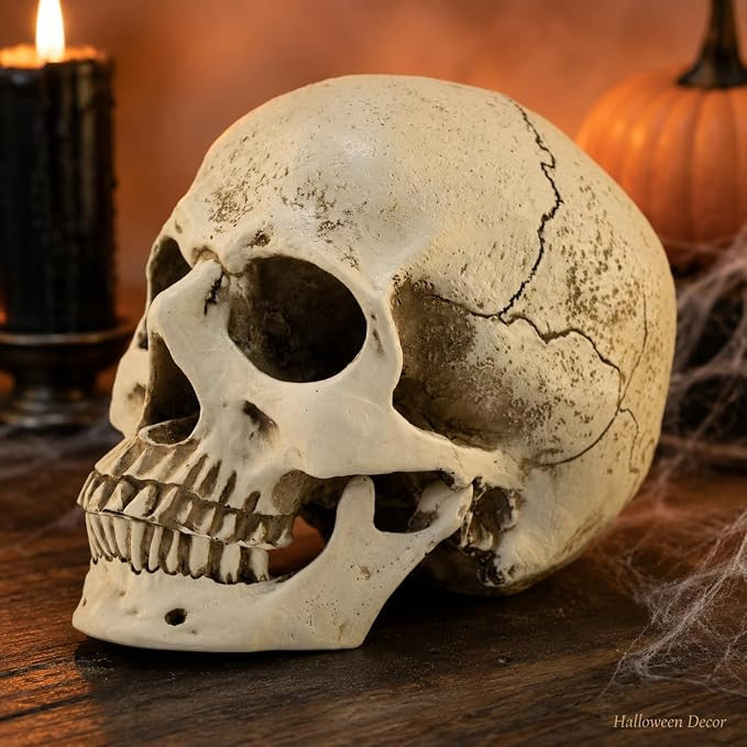 Life Size Skull Head Statue, Realistic Resin Gothic Decor | Amazon (US)