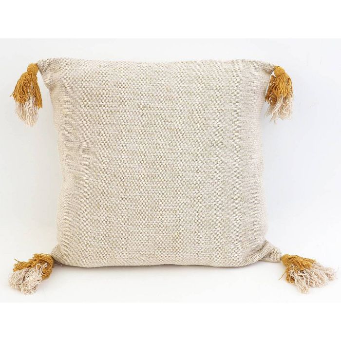 20"x20" Bradford Two-Tone Tassel Pillow - Decor Therapy | Target