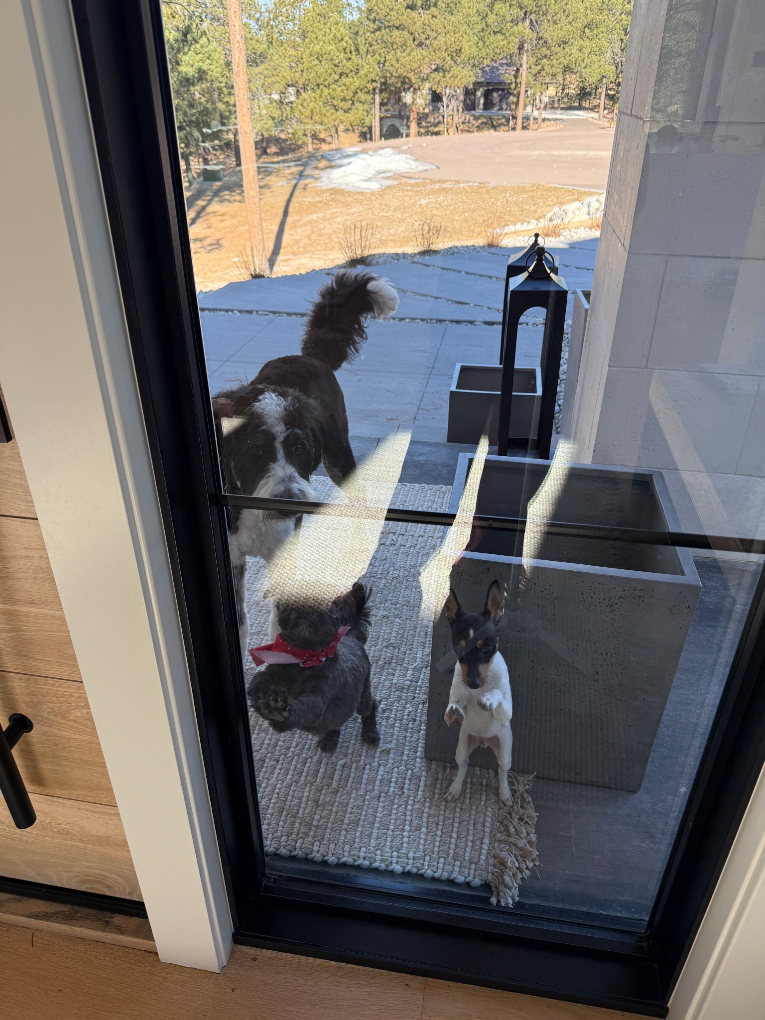 Look at this bunch! Warmer days are just around the corner and I’ll be planning my next porch setup. Linking some of my timeless favorites.

#LTKdayinmylife #LTKHome #LTKSeasonal