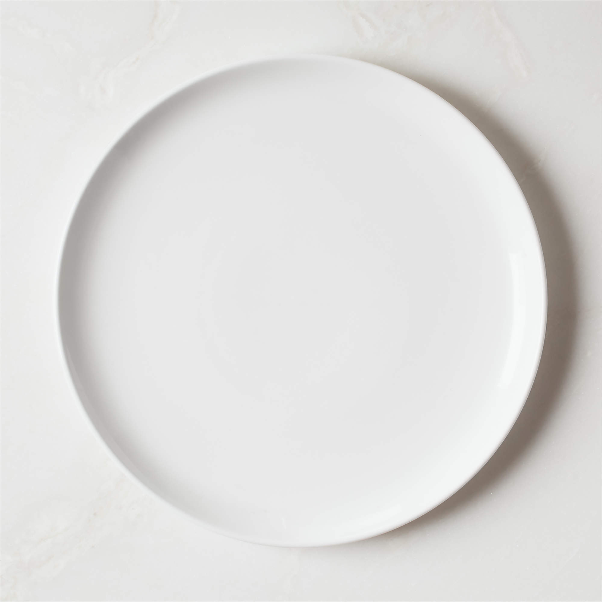 Contact Modern White Dinner Plate + Reviews | CB2 | CB2