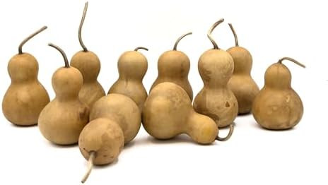 Box of 10 Bottle Gourds - 2" in Diameter, Dried Gourds for Crafting and Decorating | Amazon (US)