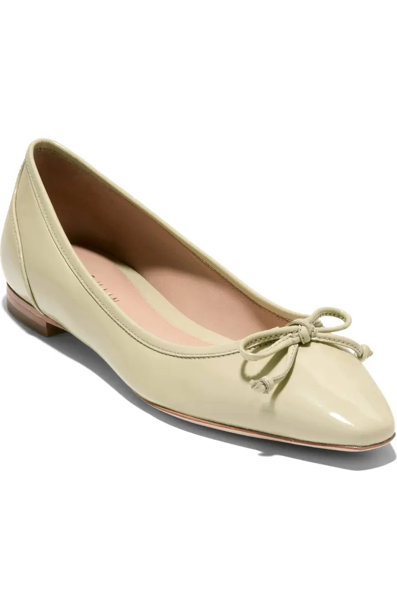 Chlea Pointed Toe Ballet Flat (Women) | Nordstrom