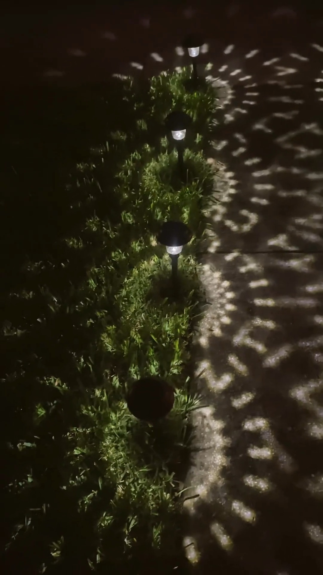 Amazon Patio Lights

Solar Lights 

#LTKBacktoSchool #LTKFind #LTKSeasonal