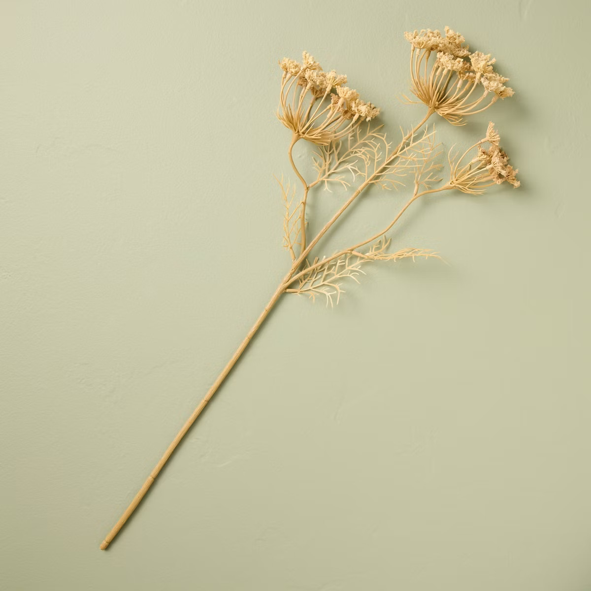 25" Queen Anne's Lace Artificial Stem - Hearth & Hand™ with Magnolia | Target