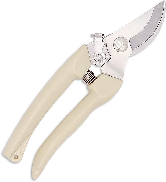 Curve Gardening Scissor with Sharp Stainless Steel Blade Garden Shears for Cutting Flowers Trimmi... | Amazon (US)