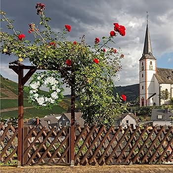 Spring Summer Wreath for Front Door 24 Inch White Eucalyptus Wreath with Flowers Outdoor Easter W... | Amazon (US)