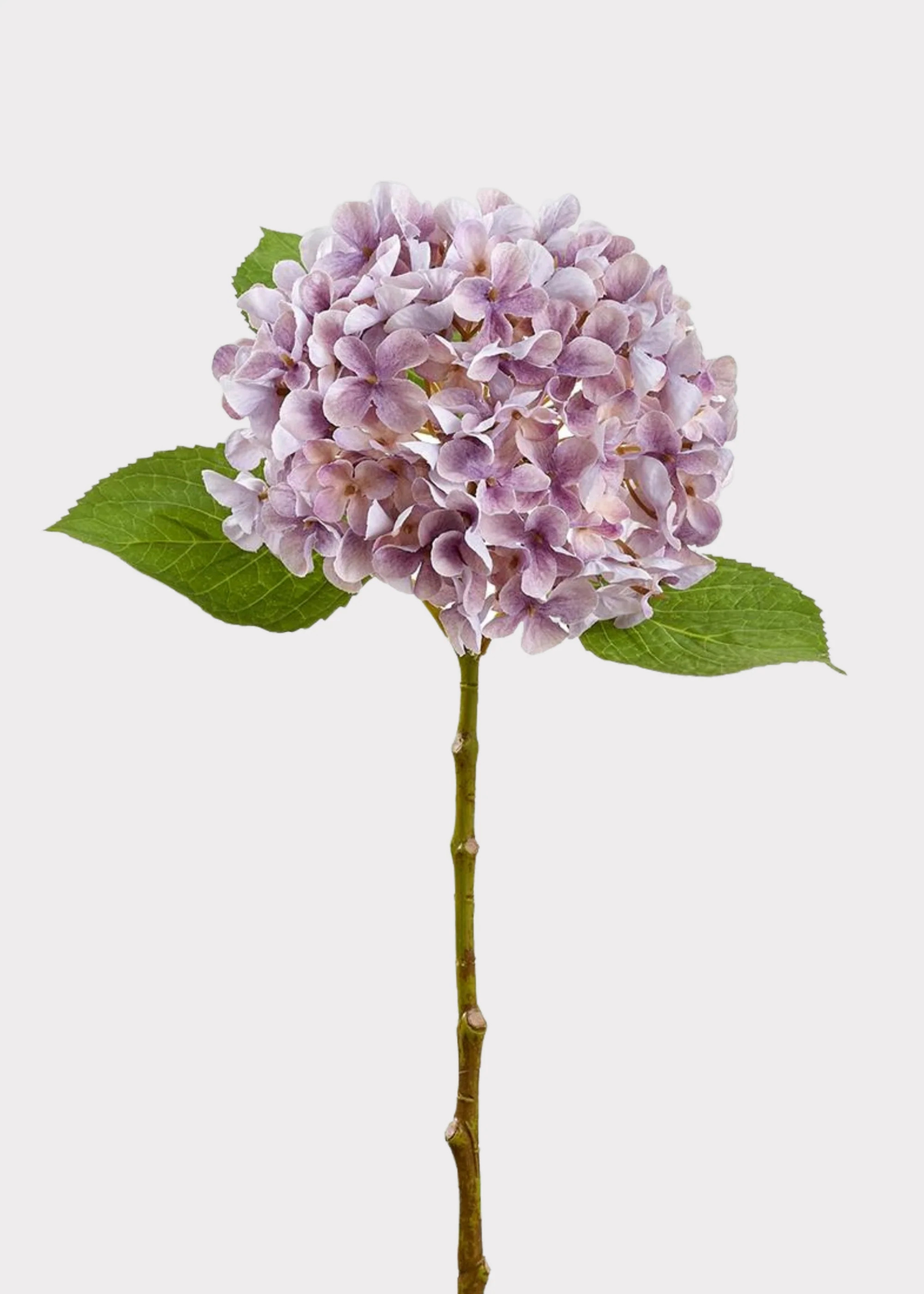 Fake Hydrangea Flower in Lavender - 17.5 | Afloral
