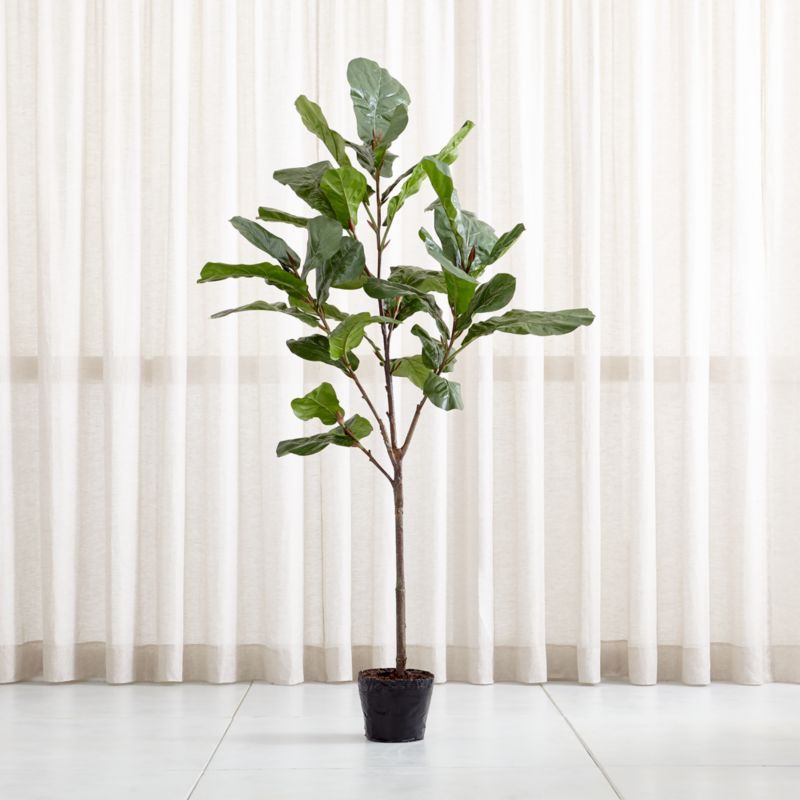Artificial 7' Fiddle Leaf Fig Tree + Reviews | Crate and Barrel | Crate & Barrel