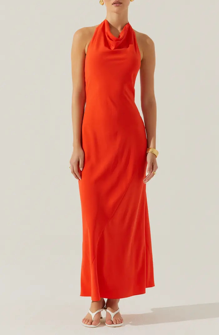 ASTR the Label Dalisay Cowl Neck Halter Maxi Dress | Nordstrom | Nordstrom