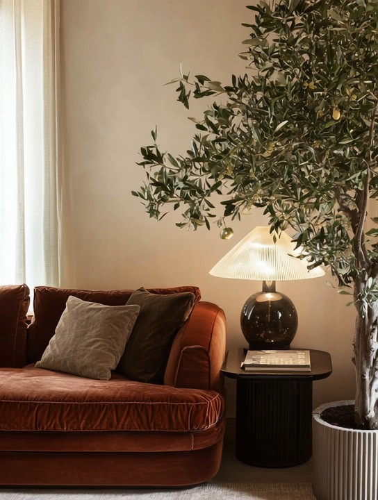 Glamorous minimalism at its finest. This mid-century modern living room proves that you only need a few well-chosen pieces to create a powerful, elevated space. A rich burgundy velvet sofa anchors the room with warmth and depth, while a statement olive tree brings in natural movement and Mediterranean character. Add a sculptural table lamp with a bold base for soft, ambient lighting, and finish the look with a simple side table and a couple of neutral cushions.

This is Mediterranean-style living room decor done right — minimal effort, high impact. The balance of velvet, greenery, and sculptural lighting creates a space that feels calm yet luxurious, modern yet timeless. Perfect for anyone who prefers glamorous minimalism, where every piece has intention and beauty without clutter.

MidCenturyModern
MediterraneanHome
GlamorousMinimalism 

 #LTKHome