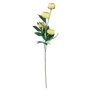 Yellow Dry Peony Stem by Ashland® | Michaels Stores