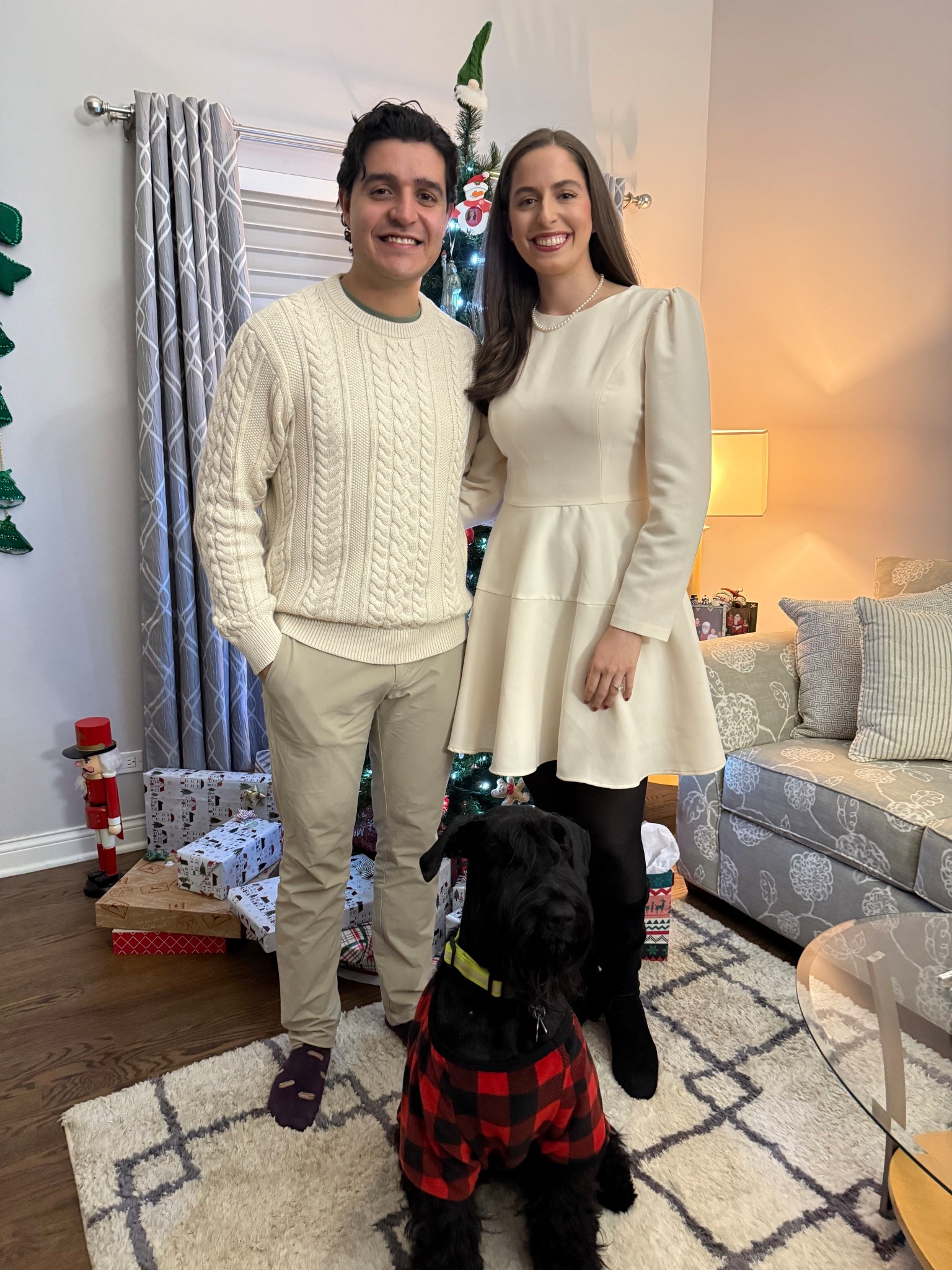 Merry Christmas! (I was dressed first btw) 

Winter white, Christmas outfit, Christmas dress, black suede boots, tall black suede boots, gal meets glam, white dress, cream dress, long sleeve cream dresss

#LTKHoliday #LTKSeasonal #LTKTall