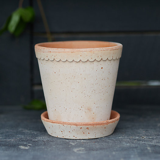 Bergs Scallop Pot + Saucer Set | Terrain