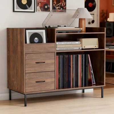 Record Player Stand With Adjustable Shelves, Holds 350+ Vinyls, Media Console With Speaker Shelf And 2 Drawers, 27.6 Inch | Wayfair North America