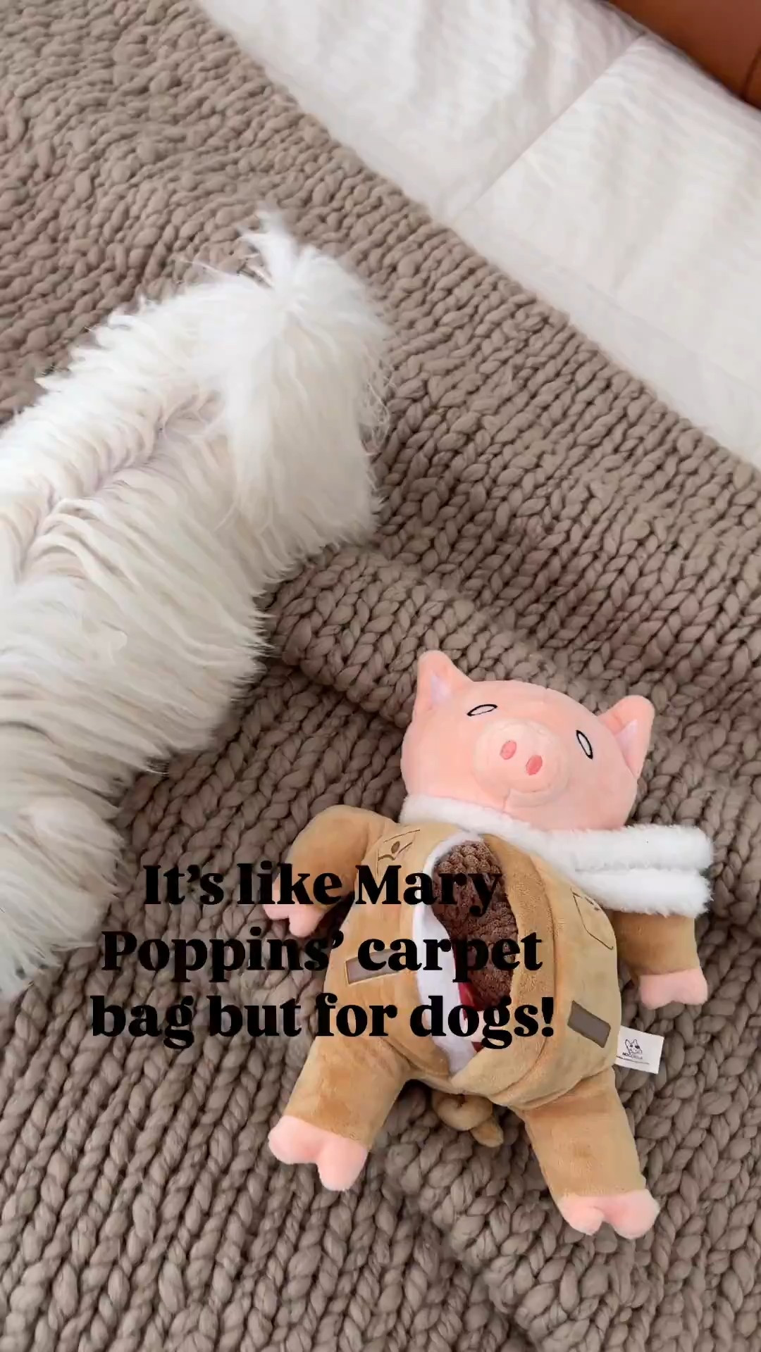  Coco’s favorite toy: the stuffed pig! 

#LTKPets #LTKFamily