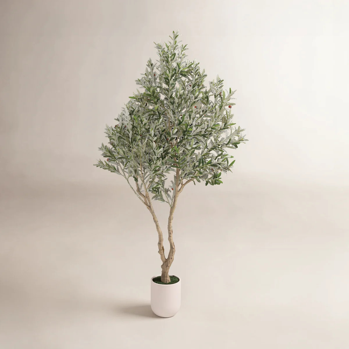 Ashwell Artificial Olive Tree with White Pot | Wayfair North America