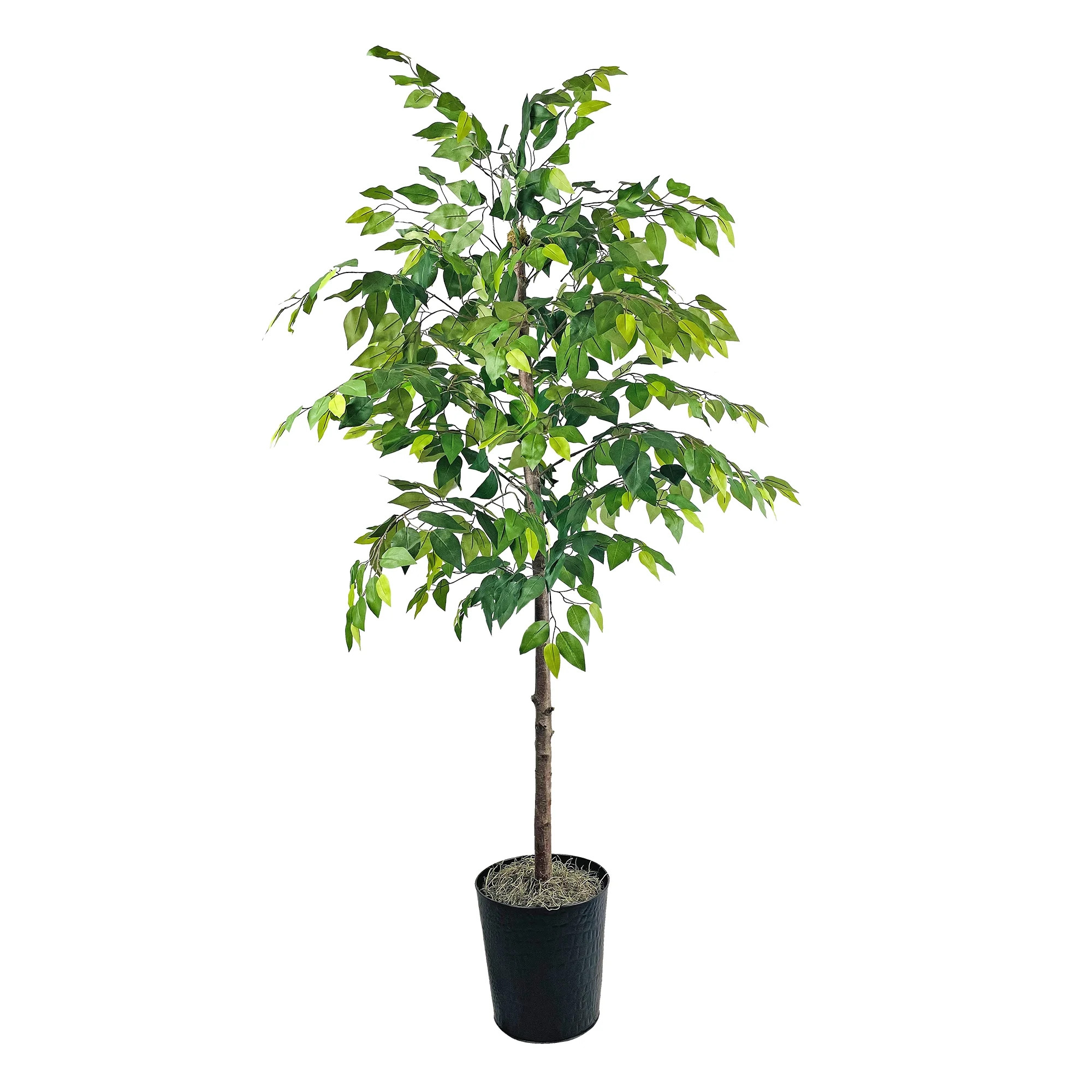 Mainstays 72" x 24" Artificial Ficus Tree in Black Embossed Metal Planter | Walmart (US)