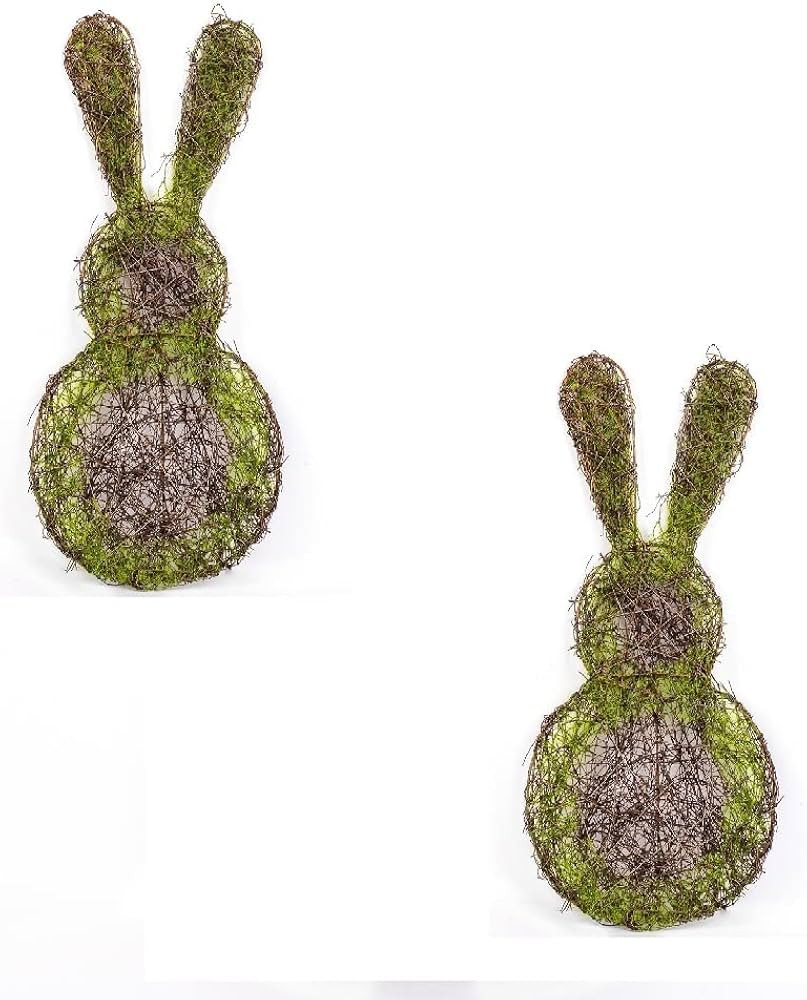 Pack of 2 Mossy Rattan Grapevine Bunnies - Bunny Rabbit Vine Wreaths for Easter Decorations and Spring Displays by Factory Direct Craft (14-1/2" L x 7" W) | Amazon (US)