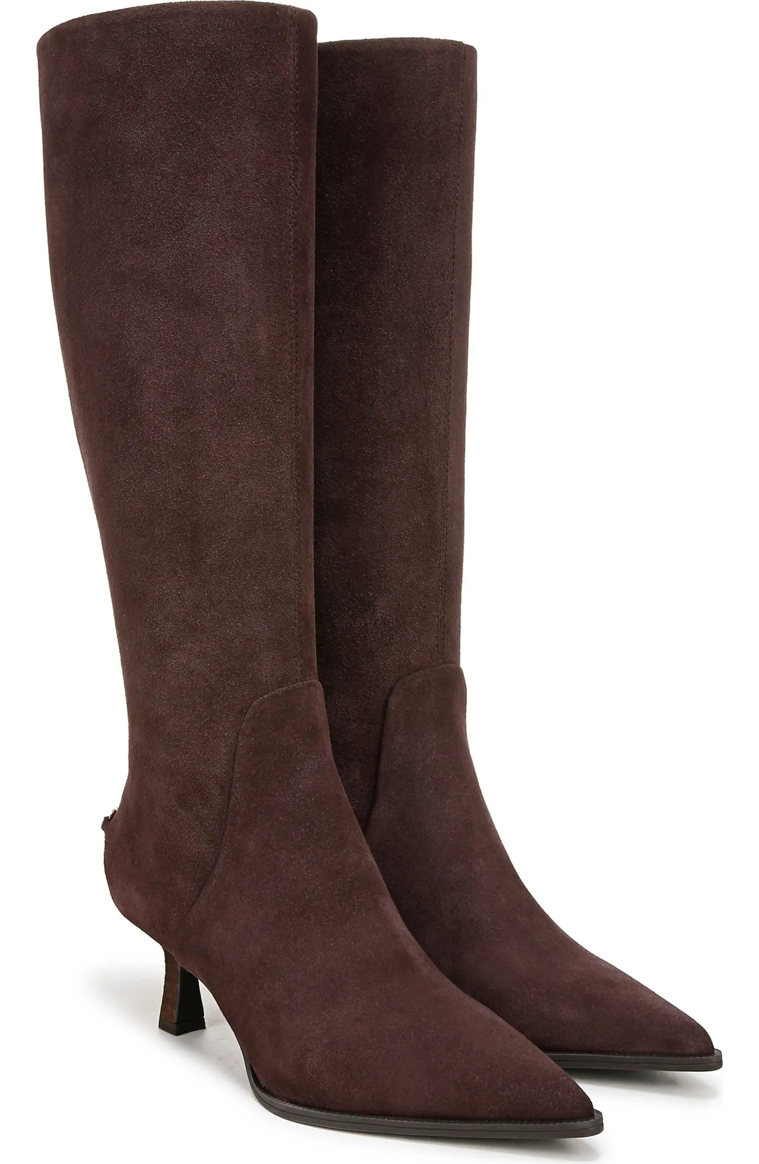 Yulia Pointy Toe Knee High Boot (Women) | Nordstrom