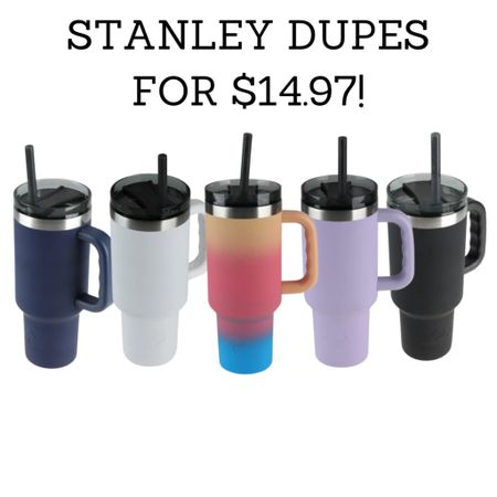 We know Stanley’s are great but these are basically the same exact thing! For much less! 

Stanley dupe tumbler seasonal travel vacation home

#LTKFind #LTKGiftGuide #LTKunder50