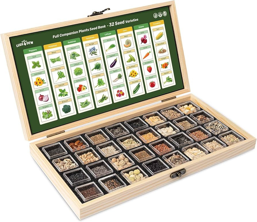 Lush&Dew Full Companion Plants Seed Bank, 32 Varieties Non-GMO Seeds of Vegetables, Herbs, Flower... | Amazon (US)