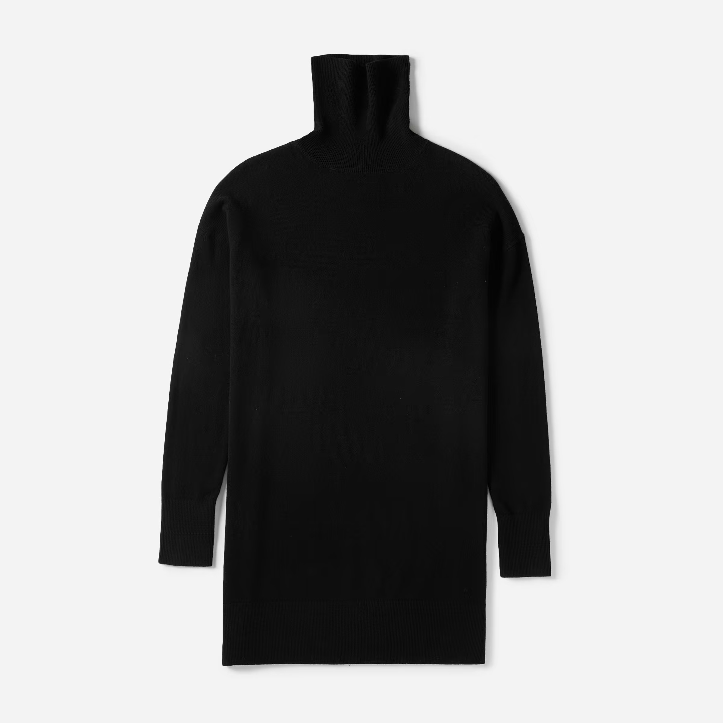 The Cashmere Turtleneck Dress | Everlane