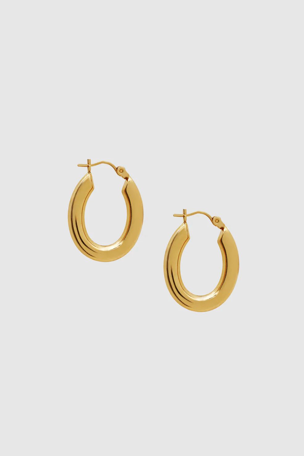 Small Tubular Oval Hoop Earrings | Anine Bing