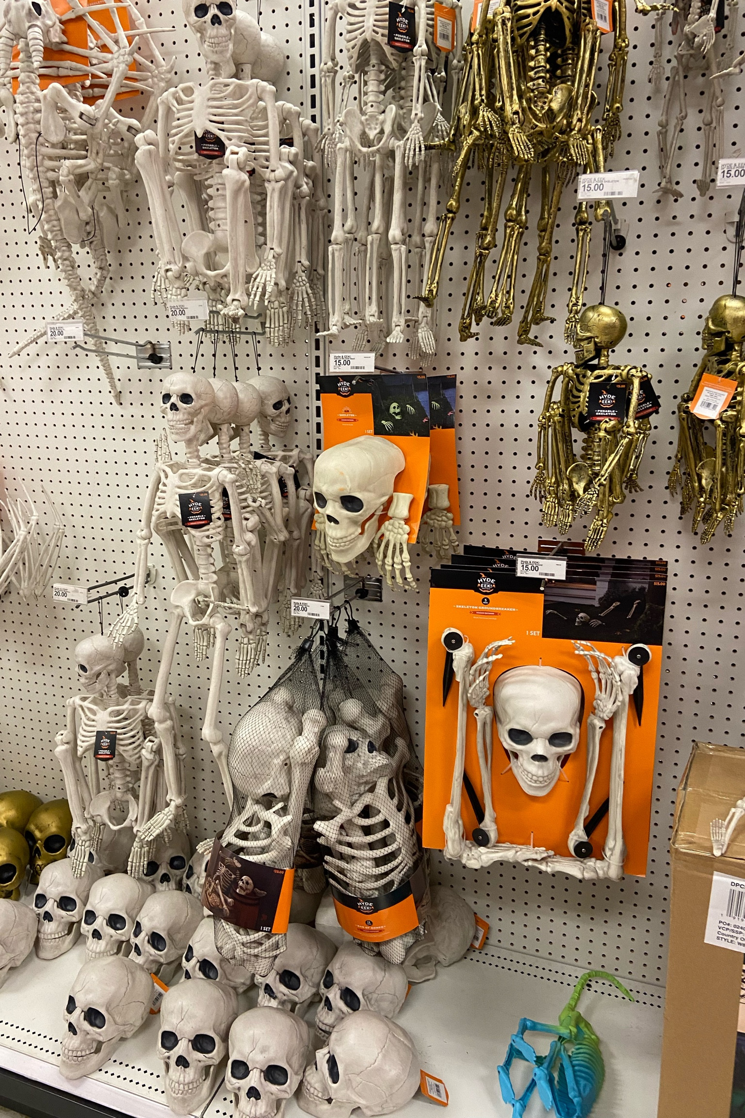 All the skeletons and bones!

#LTKSeasonal #LTKhome #LTKHalloween