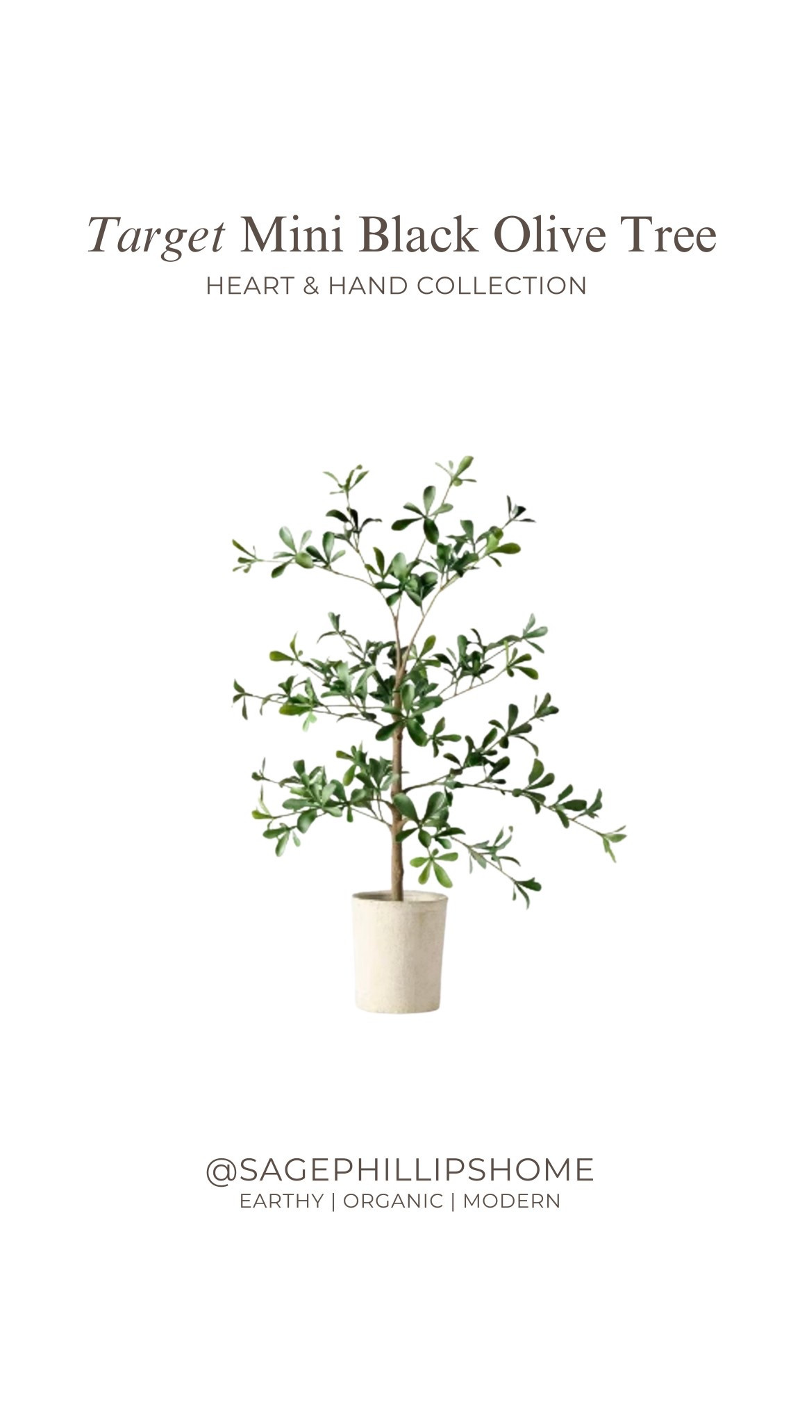 Shut up 😭 just a jealous Canadian wishing she could casually run to Target and snag this mini black olive tree.

#LTKsale #LTKhome #LTKstyletip