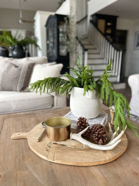 Coffee table styling inspiration vases, greenery, home decor, decor accents 

#LTKSeasonal #LTKFind #LTKhome