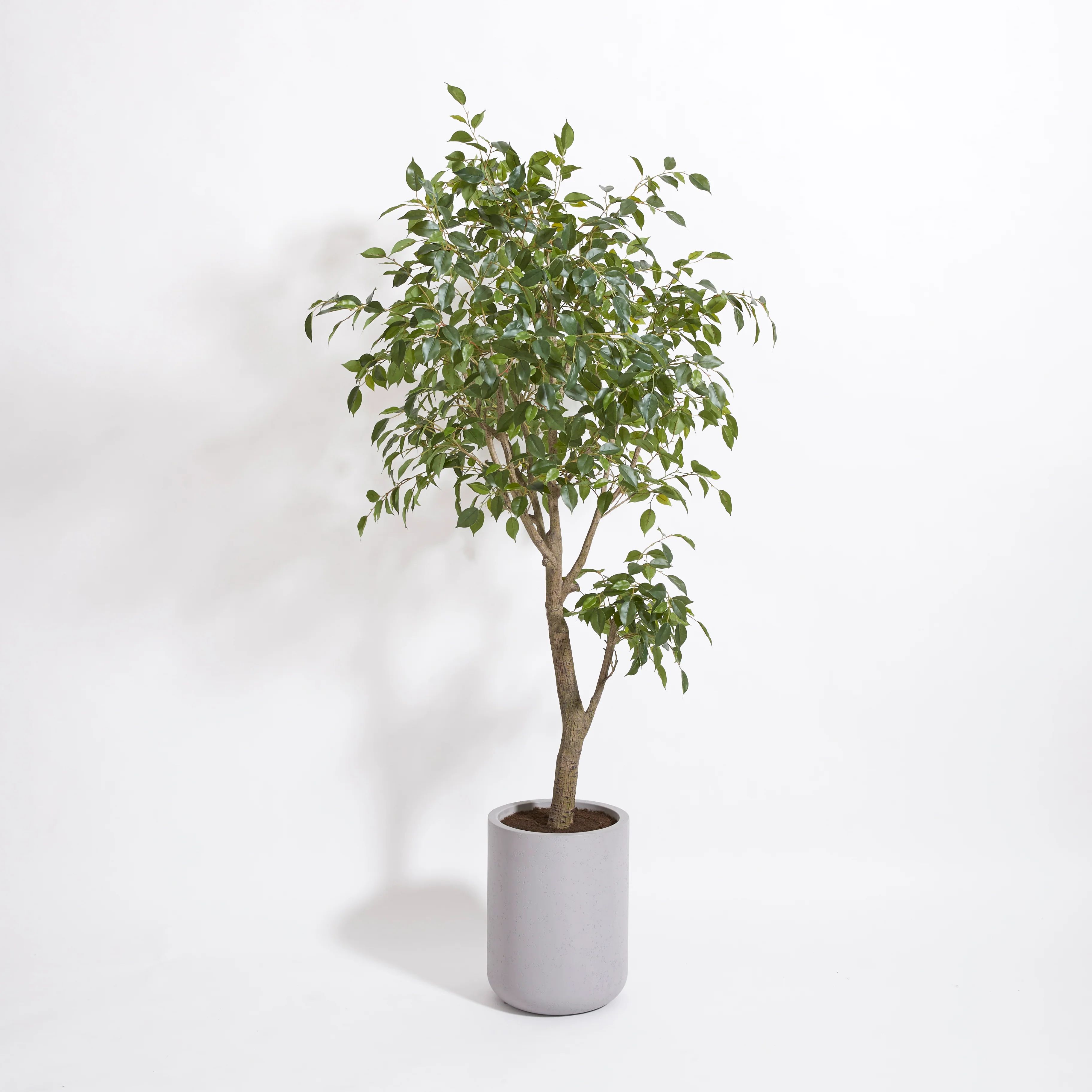 Premium Faux Ficus Tree w/pot | CG Hunter | Luxury Faux Plants | CG Hunter