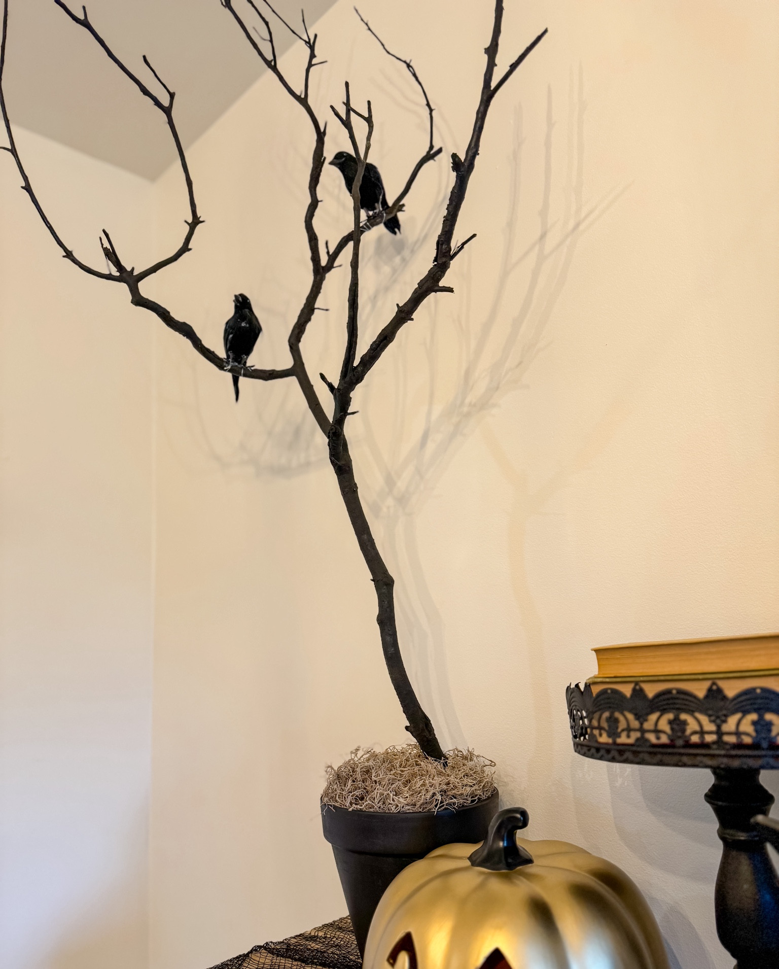 Halloween decor. DIY spooky tree. Home decor  

#LTKHalloween #LTKhome #LTKSeasonal
