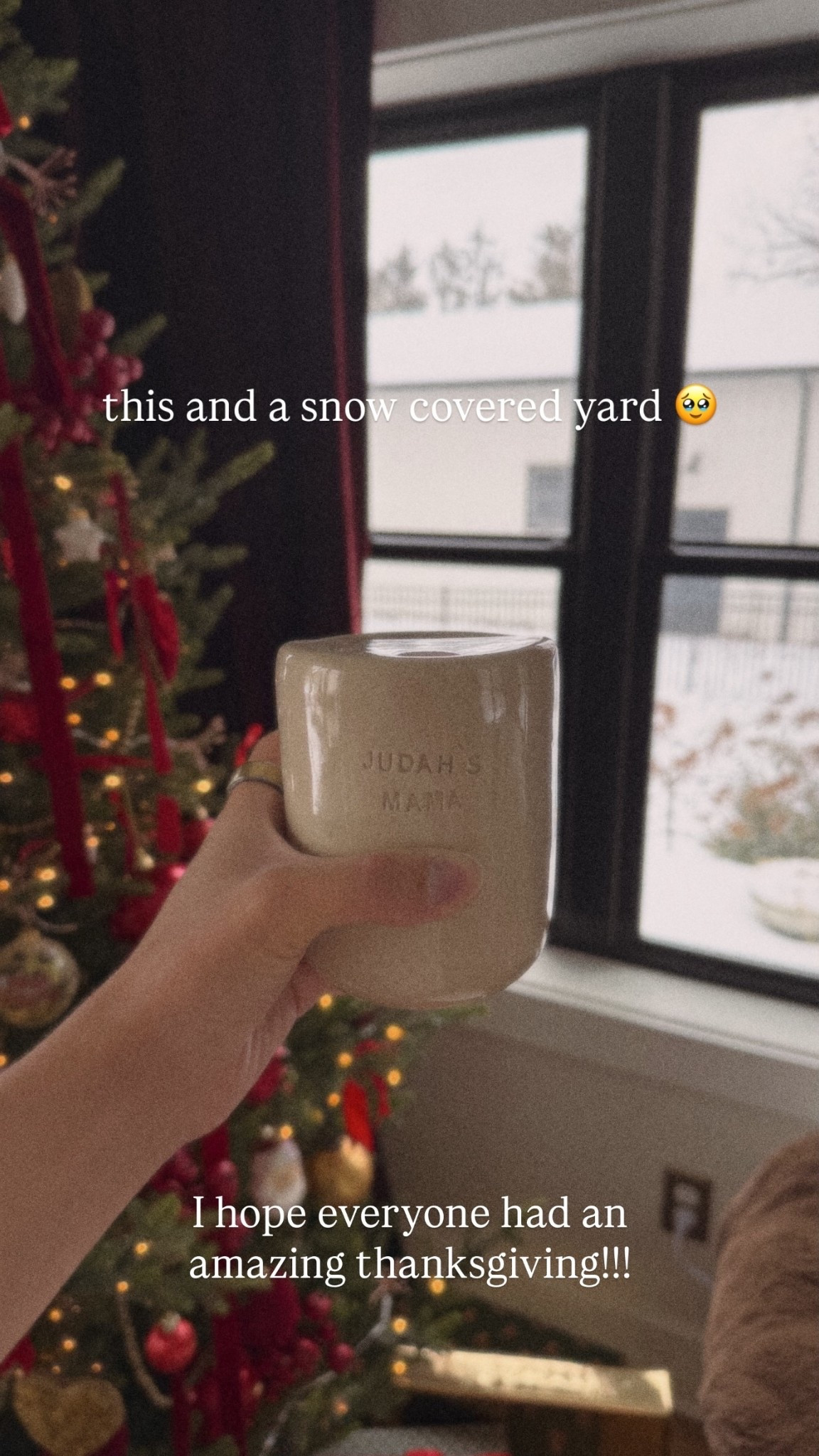this and a snow covered yard 🥹 I hope everyone had an amazing thanksgiving!!!