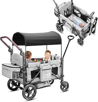 Wagon Stroller for 2 Kids,Premium Wagon for Kids with Removable Canopy, Snack Tray, Convertible B... | Amazon (US)