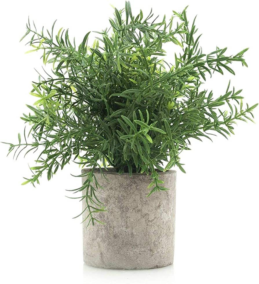 Velener Artificial Potted Rosemary Plants- Rustic Farmhouse Topiary Shrubs for Decoration Centerp... | Amazon (US)