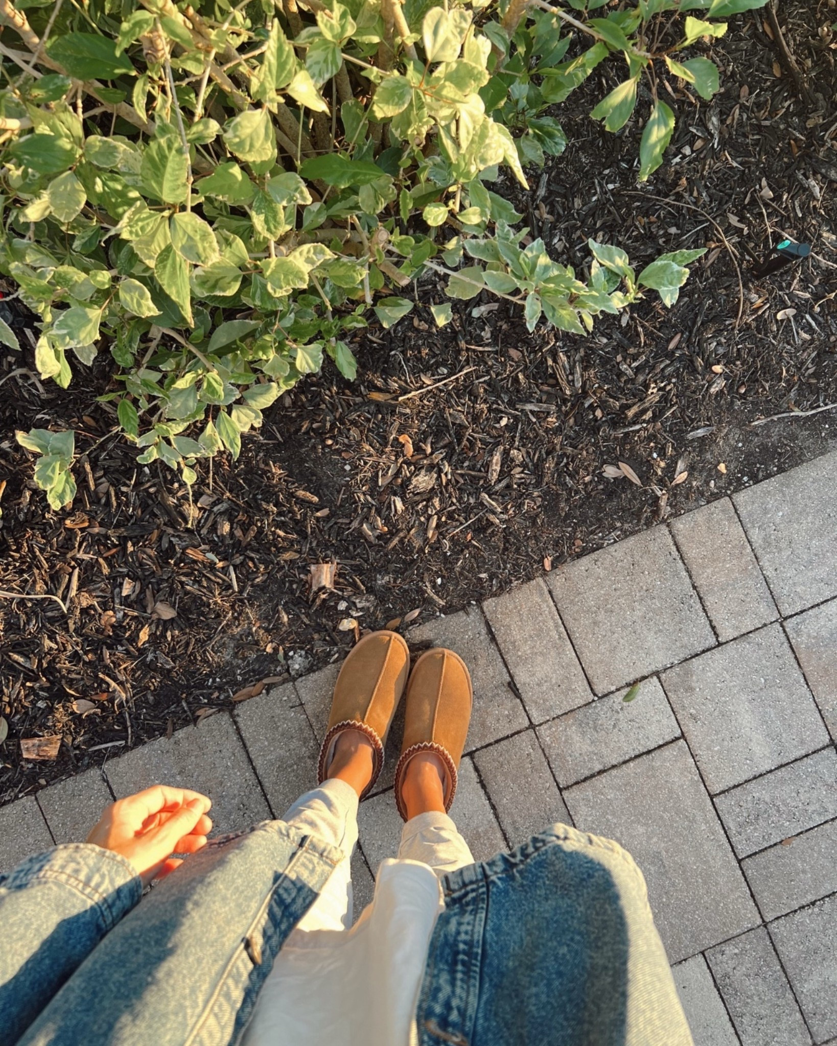 My favorite, most worn UGG dupe slippers on prime day sale! TTS

#LTKSeasonal #LTKSaleAlert #LTKFindsUnder50