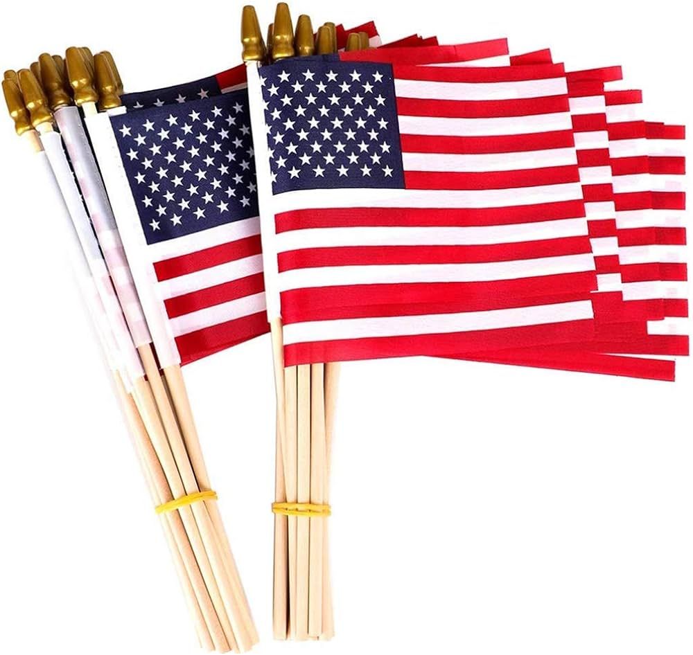 25 Pack Small American Flags on Stick 5x8 Inch/Mini American US Flags/American Hand Held Stick Fl... | Amazon (US)