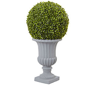 2.5' Boxwood Topiary Tree with Urn by Nearly Na tural | QVC