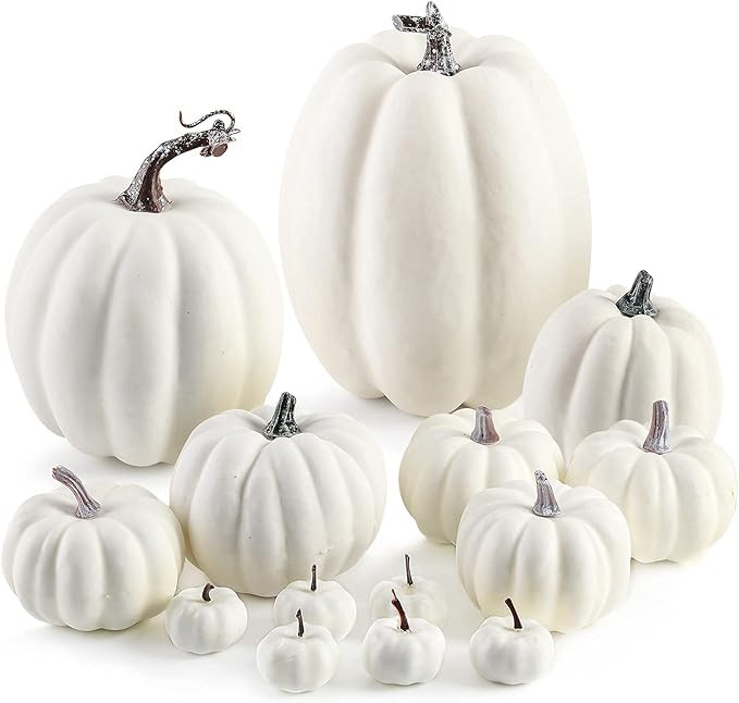 DomeStar Artificial Pumpkins, 14PCS White Fake Pumpkins Assorted Pumpkins Faux Pumpkins Farmhouse... | Amazon (US)
