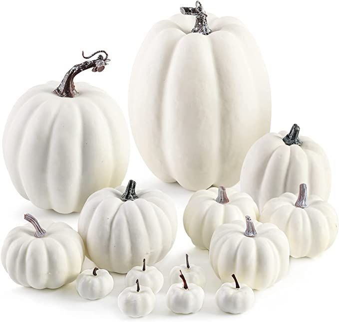 DomeStar Artificial Pumpkins, 14PCS White Fake Pumpkins Assorted Pumpkins Faux Pumpkins Farmhouse... | Amazon (US)
